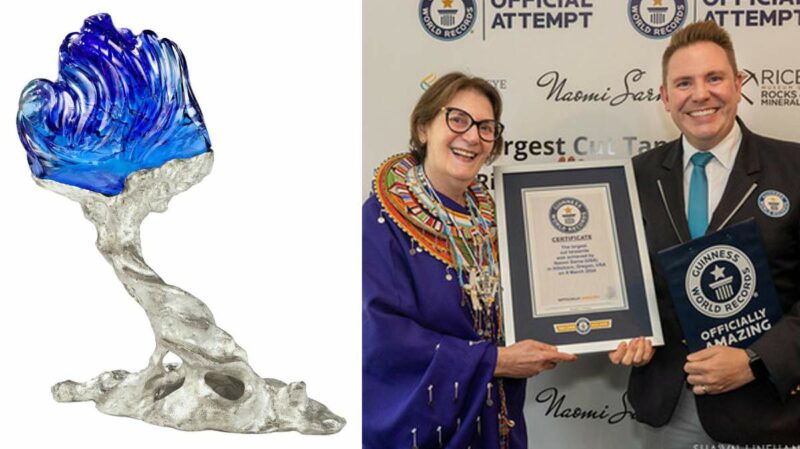 703 Carat L’Heure Bleu: A Tanzanite Marvel Enters the Guinness World Records